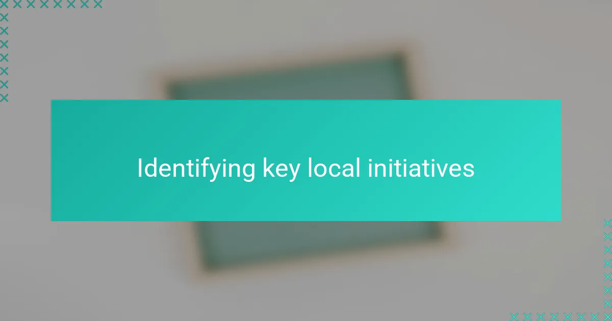 Identifying key local initiatives
