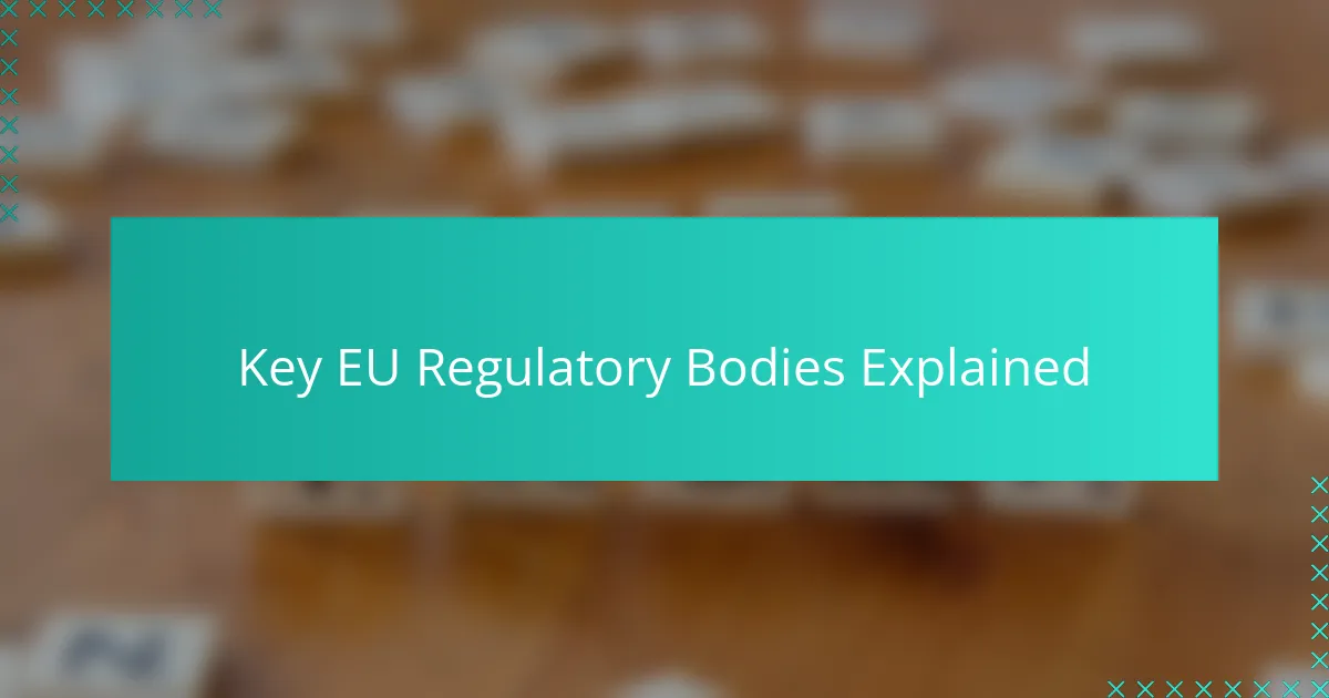 Key EU Regulatory Bodies Explained