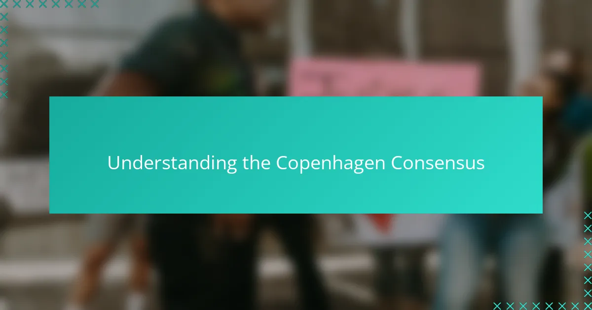 Understanding the Copenhagen Consensus